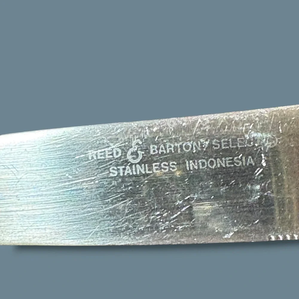 Reed & Barton Select Costa Brava Stainless Modern Solid 9 1/4in Dinner Knife (6)